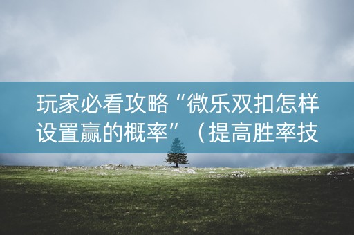 玩家必看攻略“微乐双扣怎样设置赢的概率”（提高胜率技巧)
