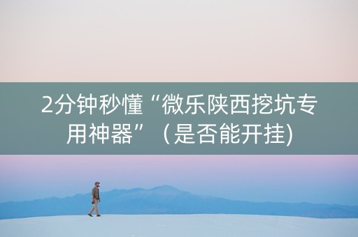 2分钟秒懂“微乐陕西挖坑专用神器”（是否能开挂)