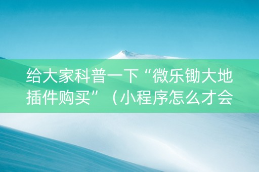 给大家科普一下“微乐锄大地插件购买”（小程序怎么才会赢)
