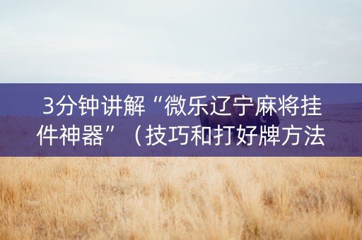 3分钟讲解“微乐辽宁麻将挂件神器”（技巧和打好牌方法)