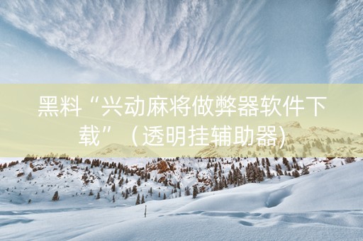 黑料“兴动麻将做弊器软件下载”（透明挂辅助器)