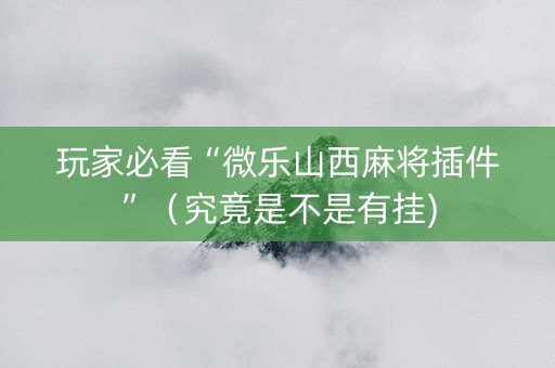 玩家必看“微乐山西麻将插件”（究竟是不是有挂)