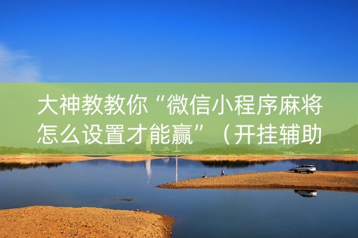 大神教教你“微信小程序麻将怎么设置才能赢”（开挂辅助器脚本)