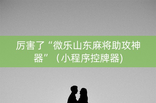 厉害了“微乐山东麻将助攻神器”（小程序控牌器)