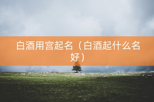 白酒用宫起名（白酒起什么名好）