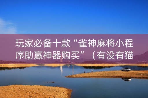 玩家必备十款“雀神麻将小程序助赢神器购买”（有没有猫腻)