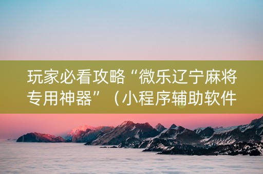 玩家必看攻略“微乐辽宁麻将专用神器”（小程序辅助软件)