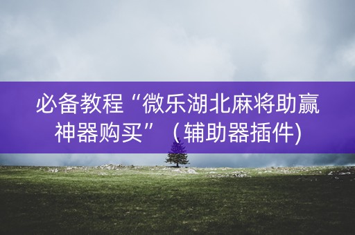 必备教程“微乐湖北麻将助赢神器购买”（辅助器插件)