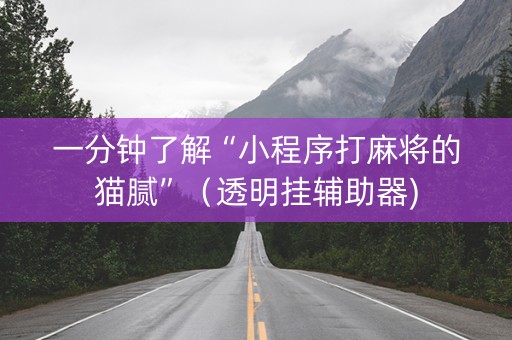 一分钟了解“小程序打麻将的猫腻”（透明挂辅助器)