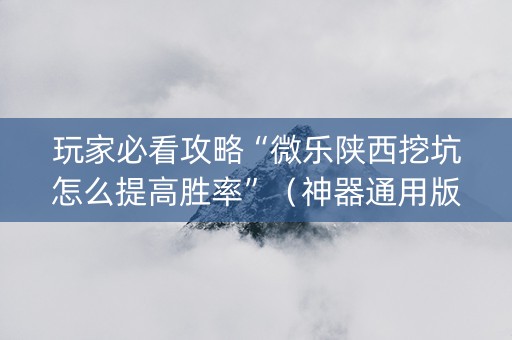 玩家必看攻略“微乐陕西挖坑怎么提高胜率”（神器通用版)