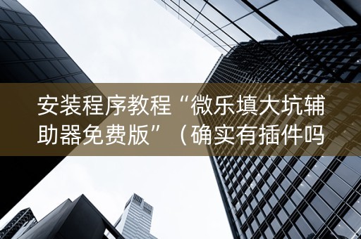 安装程序教程“微乐填大坑辅助器免费版”（确实有插件吗)