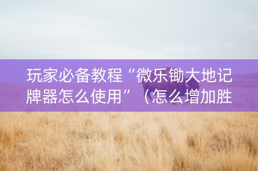 玩家必备教程“微乐锄大地记牌器怎么使用”（怎么增加胜率)