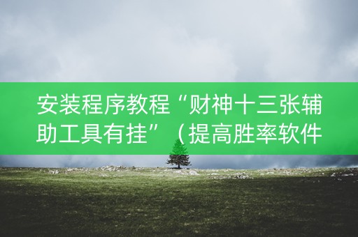 安装程序教程“财神十三张辅助工具有挂”（提高胜率软件)
