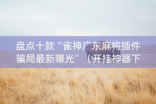 盘点十款“雀神广东麻将插件骗局最新曝光”（开挂神器下载)