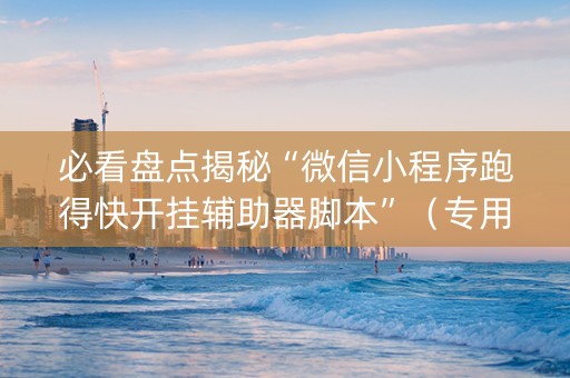必看盘点揭秘“微信小程序跑得快开挂辅助器脚本”（专用神器下载)