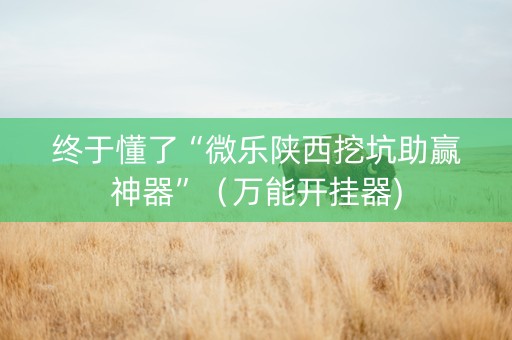 终于懂了“微乐陕西挖坑助赢神器”（万能开挂器)