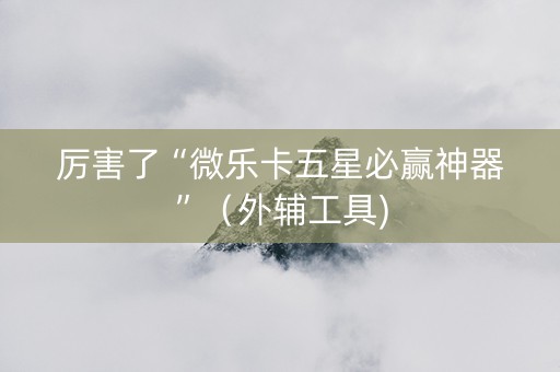 厉害了“微乐卡五星必赢神器”（外辅工具)