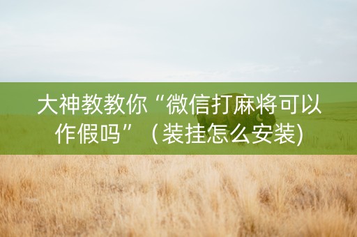 大神教教你“微信打麻将可以作假吗”（装挂怎么安装)