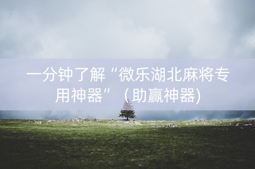 一分钟了解“微乐湖北麻将专用神器”（助赢神器)
