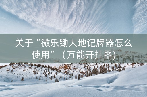 关于“微乐锄大地记牌器怎么使用”（万能开挂器)