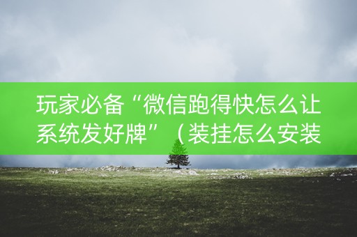 玩家必备“微信跑得快怎么让系统发好牌”（装挂怎么安装)