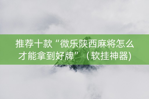 推荐十款“微乐陕西麻将怎么才能拿到好牌”（软挂神器)
