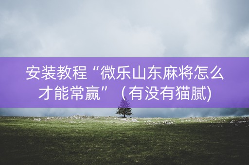 安装教程“微乐山东麻将怎么才能常赢”（有没有猫腻)