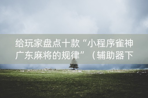 给玩家盘点十款“小程序雀神广东麻将的规律”（辅助器下载)