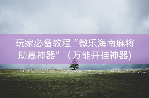玩家必备教程“微乐海南麻将助赢神器”（万能开挂神器)