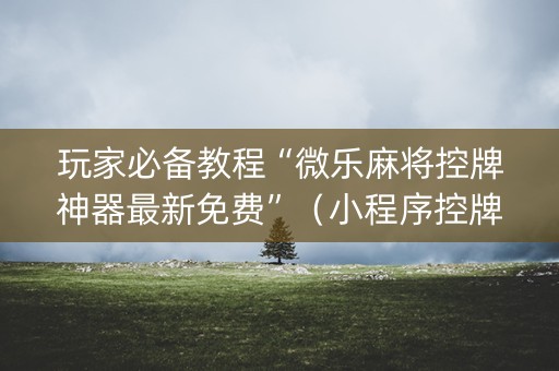 玩家必备教程“微乐麻将控牌神器最新免费”（小程序控牌器)
