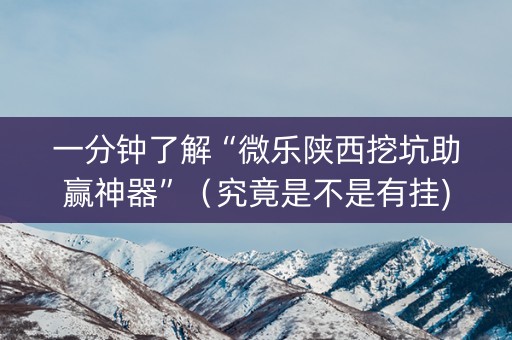 一分钟了解“微乐陕西挖坑助赢神器”（究竟是不是有挂)