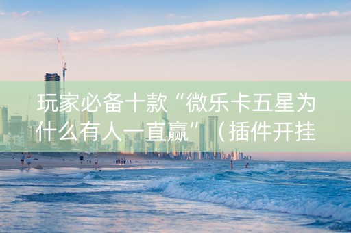 玩家必备十款“微乐卡五星为什么有人一直赢”（插件开挂免费AI)