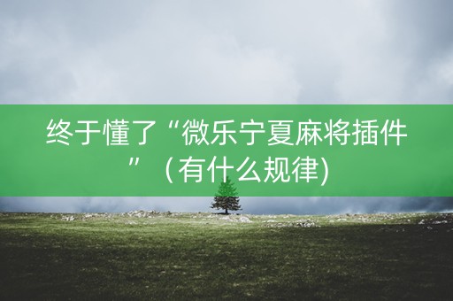 终于懂了“微乐宁夏麻将插件”（有什么规律)