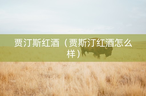 贾汀斯红酒（贾斯汀红酒怎么样）