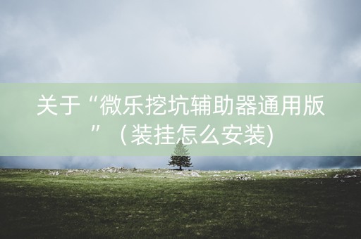 关于“微乐挖坑辅助器通用版”（装挂怎么安装)