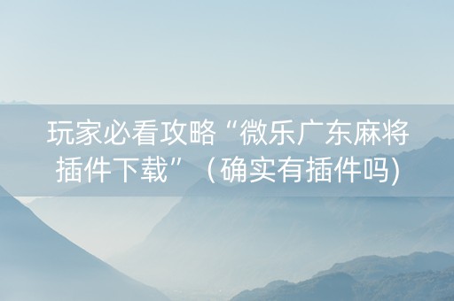 玩家必看攻略“微乐广东麻将插件下载”（确实有插件吗)