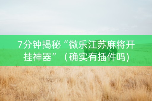 7分钟揭秘“微乐江苏麻将开挂神器”（确实有插件吗)