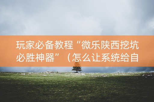 玩家必备教程“微乐陕西挖坑必胜神器”（怎么让系统给自己好牌)