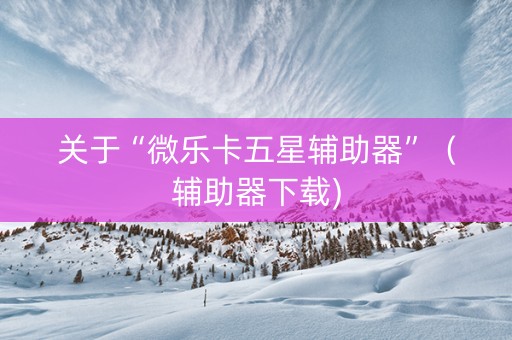 关于“微乐卡五星辅助器”（辅助器下载)