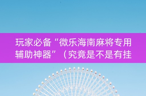 玩家必备“微乐海南麻将专用辅助神器”（究竟是不是有挂)