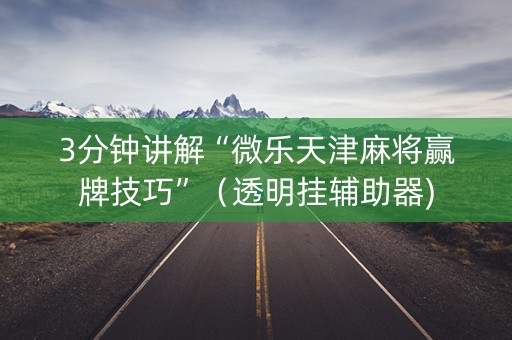 3分钟讲解“微乐天津麻将赢牌技巧”（透明挂辅助器)