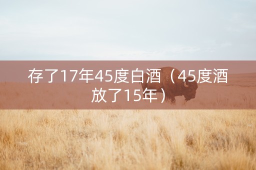 存了17年45度白酒（45度酒放了15年）