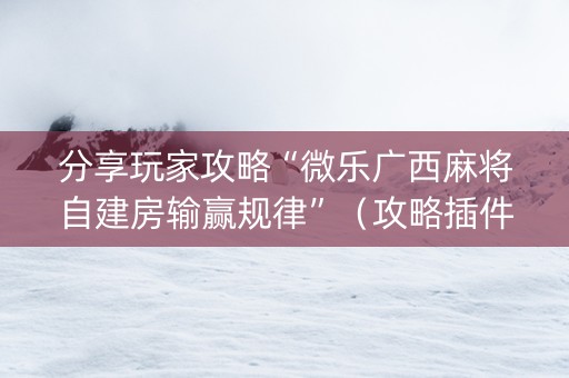 分享玩家攻略“微乐广西麻将自建房输赢规律”（攻略插件)