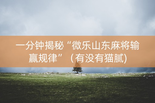 一分钟揭秘“微乐山东麻将输赢规律”（有没有猫腻)