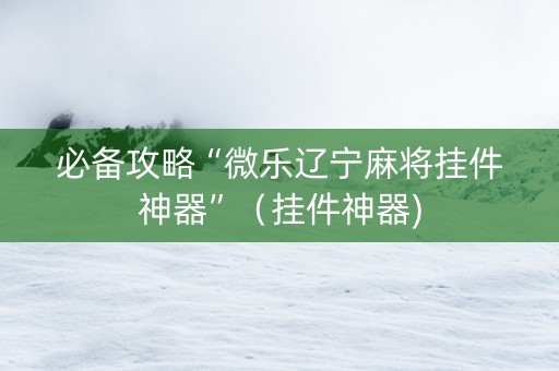 必备攻略“微乐辽宁麻将挂件神器”（挂件神器)