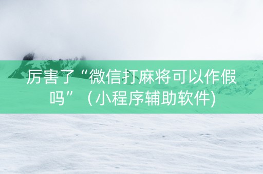厉害了“微信打麻将可以作假吗”（小程序辅助软件)