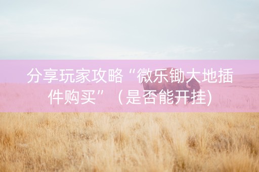 分享玩家攻略“微乐锄大地插件购买”（是否能开挂)