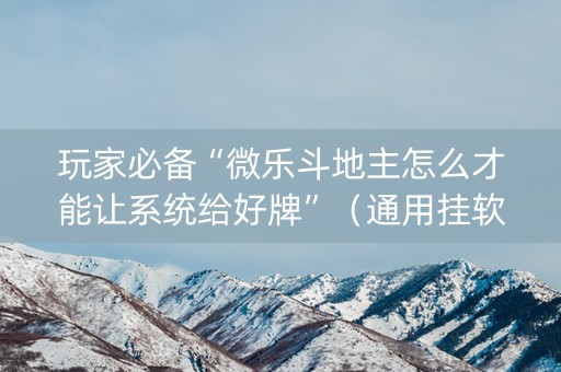 玩家必备“微乐斗地主怎么才能让系统给好牌”（通用挂软件多少钱)
