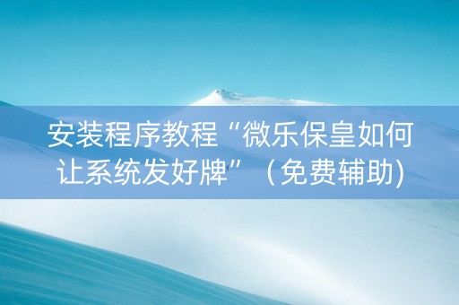 安装程序教程“微乐保皇如何让系统发好牌”（免费辅助)