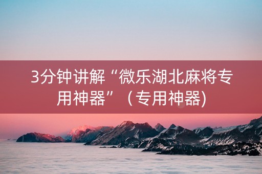 3分钟讲解“微乐湖北麻将专用神器”（专用神器)